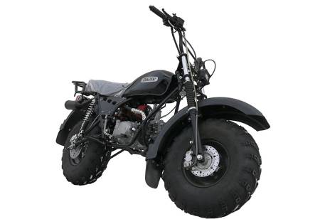 Большая Картинка