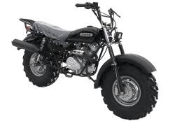 Большая Картинка