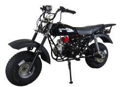 Большая Картинка