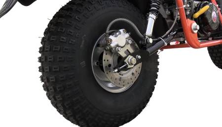 Большая Картинка