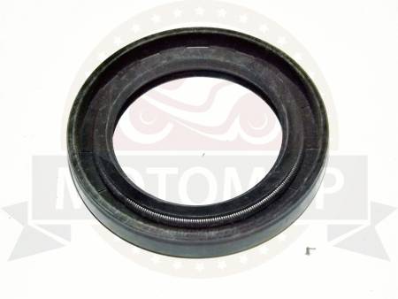 Большая Картинка