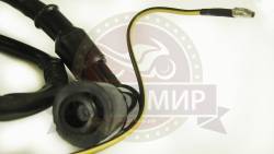 Большая Картинка