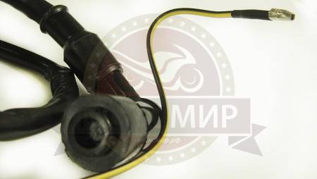 Большая Картинка