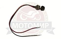 Большая Картинка