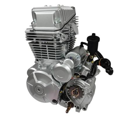 Большая Картинка