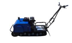 Большая Картинка