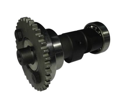 Большая Картинка