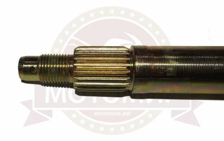 Большая Картинка