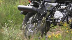 Большая Картинка