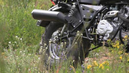 Большая Картинка