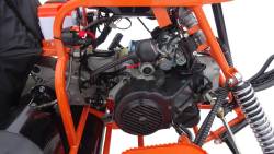 Большая Картинка