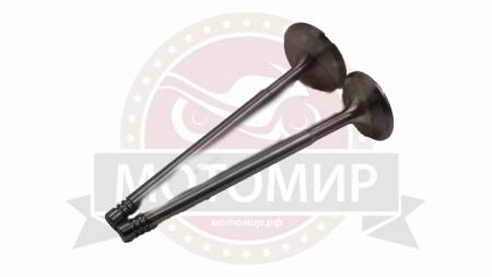 Большая Картинка