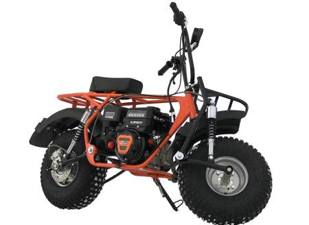 Большая Картинка