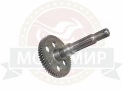 Большая Картинка