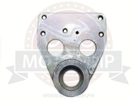 Большая Картинка