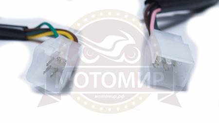 Большая Картинка