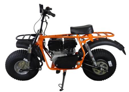 Большая Картинка