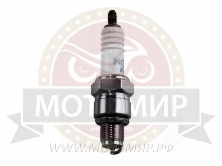 Большая Картинка