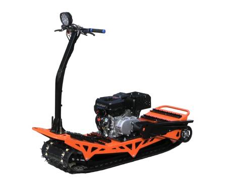 Большая Картинка