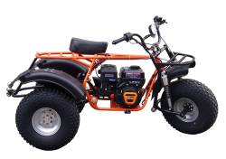 Большая Картинка