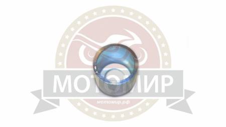 Большая Картинка