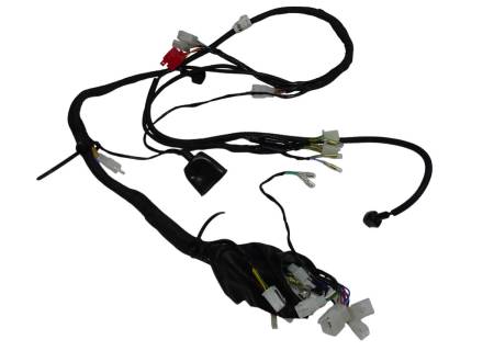 Большая Картинка