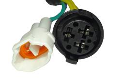 Большая Картинка