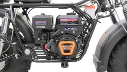 Большая Картинка