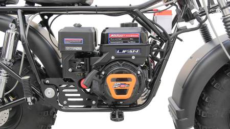 Большая Картинка