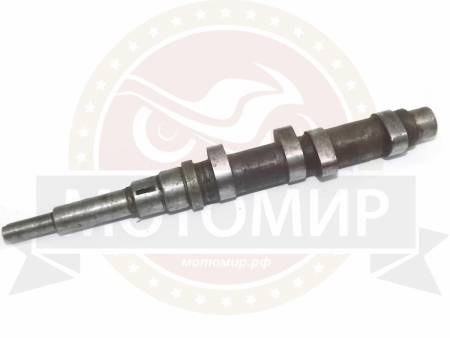 Большая Картинка