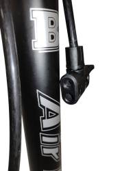 Большая Картинка