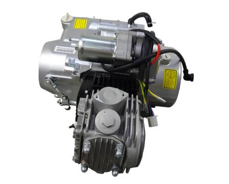 Большая Картинка