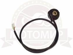 Большая Картинка