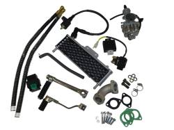 Большая Картинка