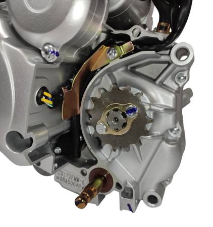 Большая Картинка