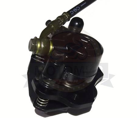 Большая Картинка