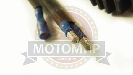 Большая Картинка