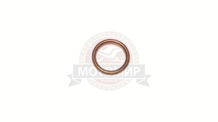 Большая Картинка