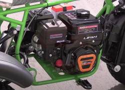 Большая Картинка