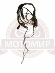 Большая Картинка