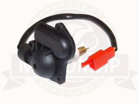 Большая Картинка