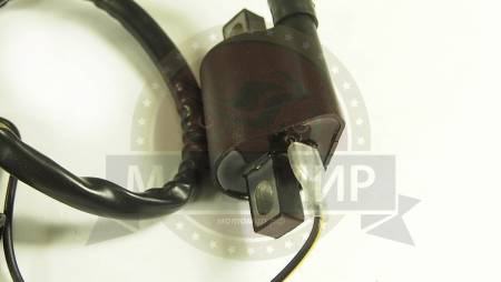 Большая Картинка