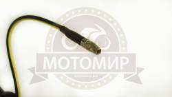 Большая Картинка