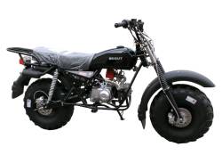 Большая Картинка