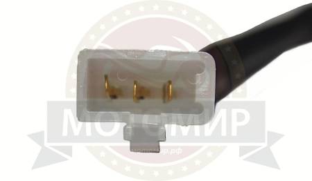 Большая Картинка