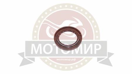 Большая Картинка