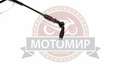 Большая Картинка