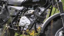 Большая Картинка