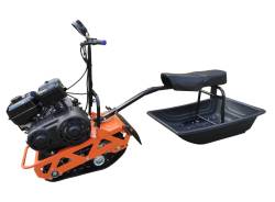 Большая Картинка