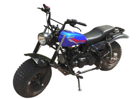 Большая Картинка